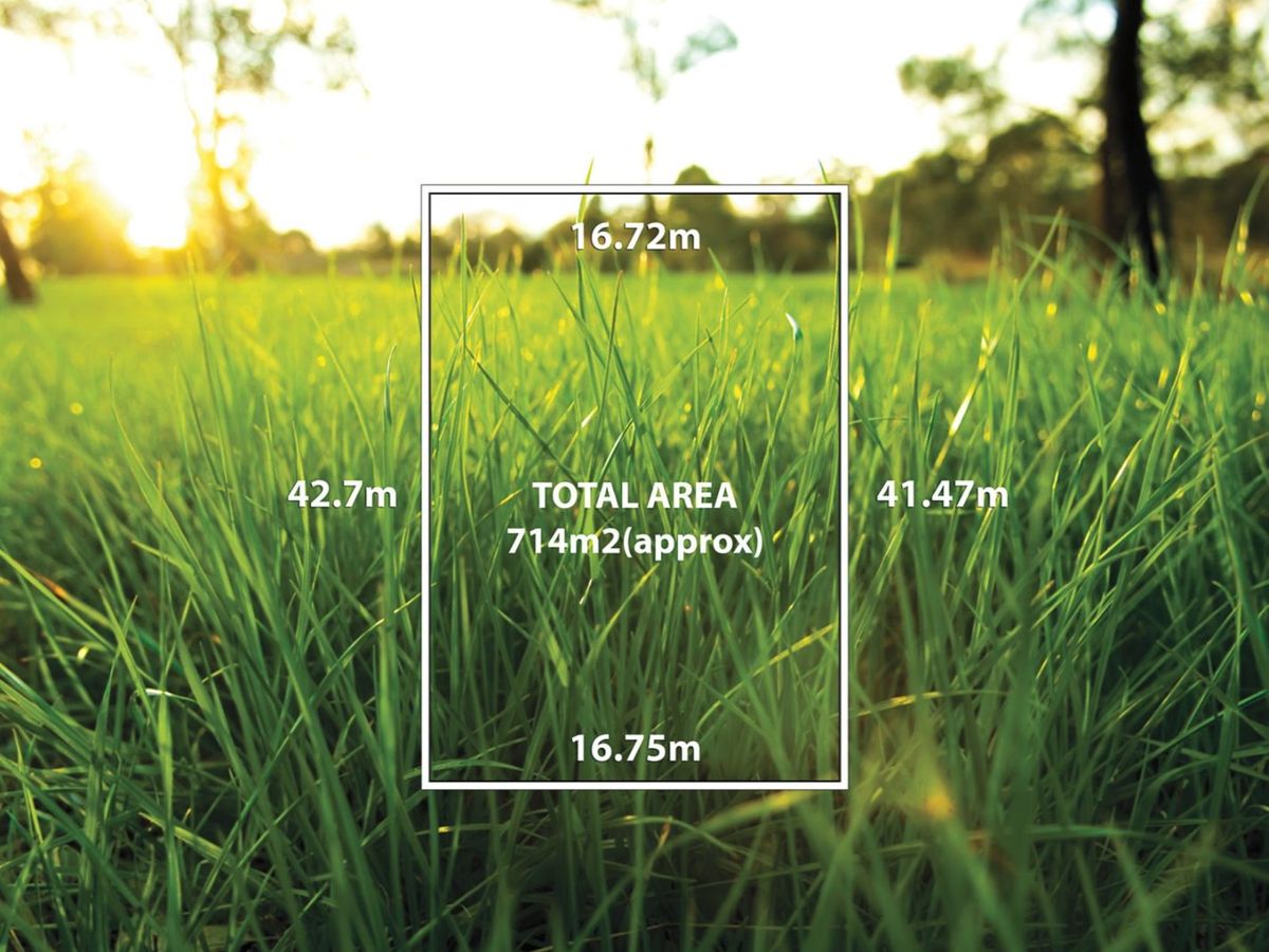 19 Freeman Street BALWYN