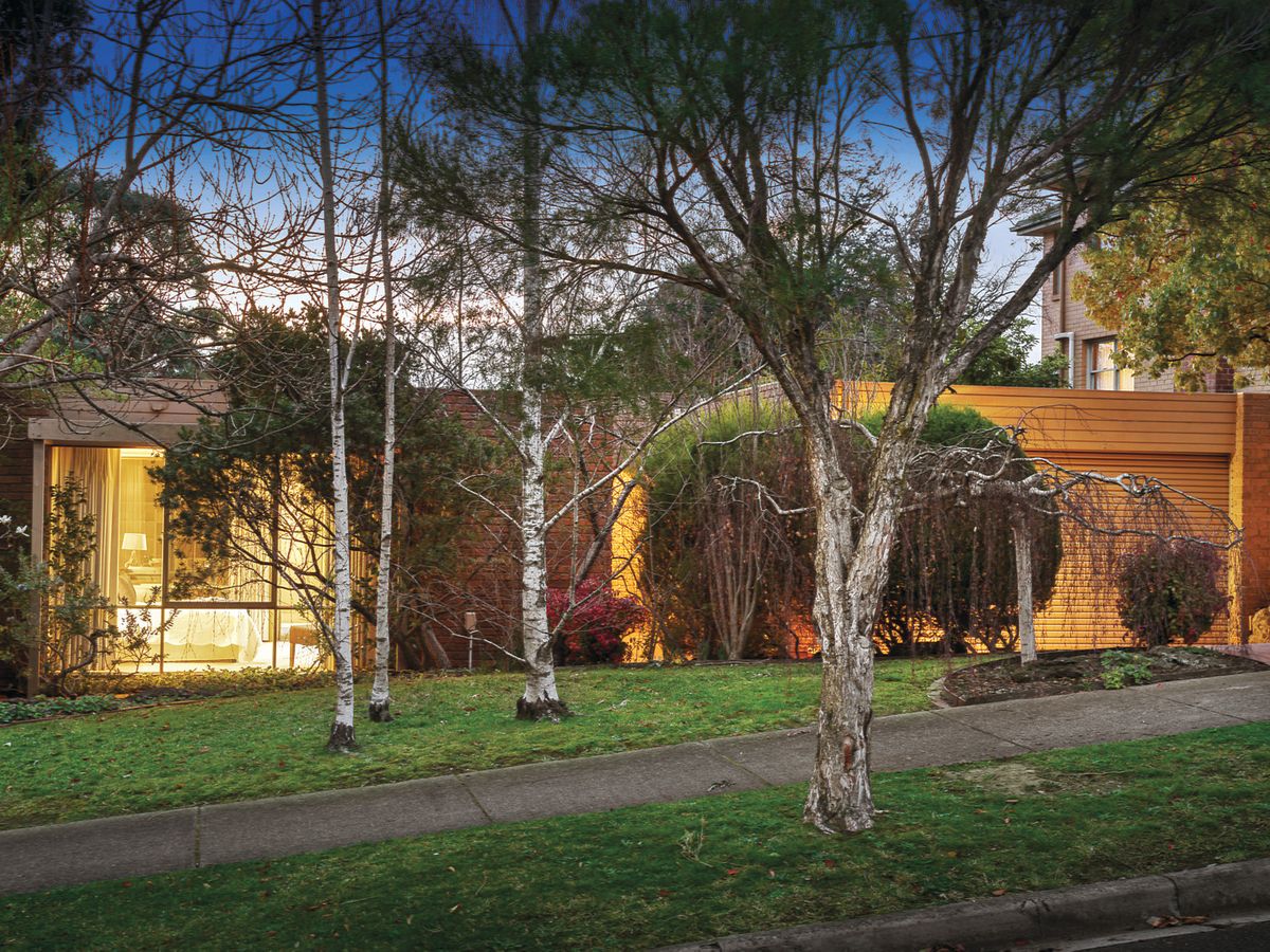 36 Newton Street SURREY HILLS