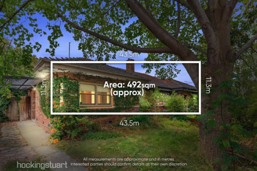 3 Carew Street SANDRINGHAM