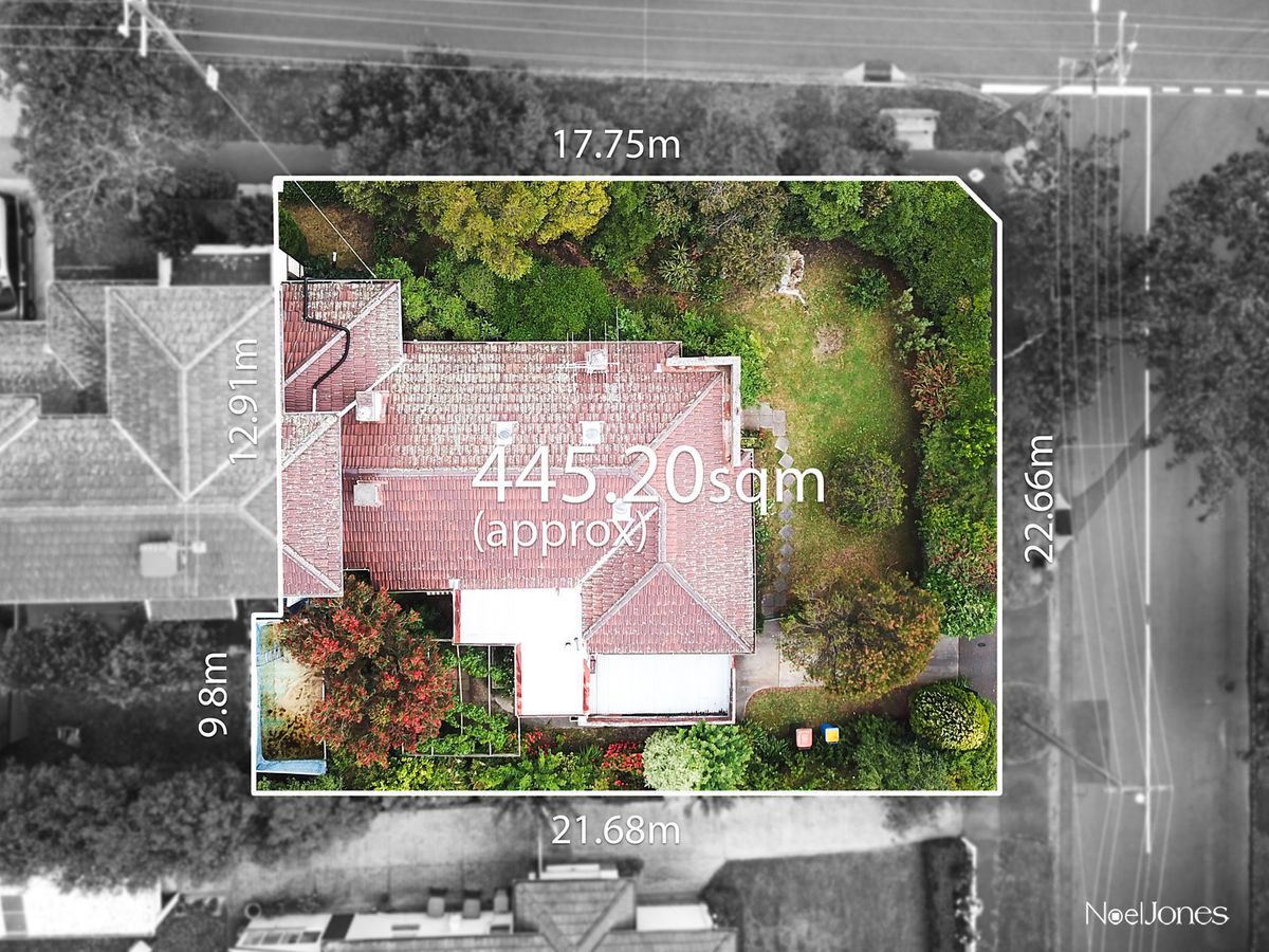 43 Clyde Street SURREY HILLS