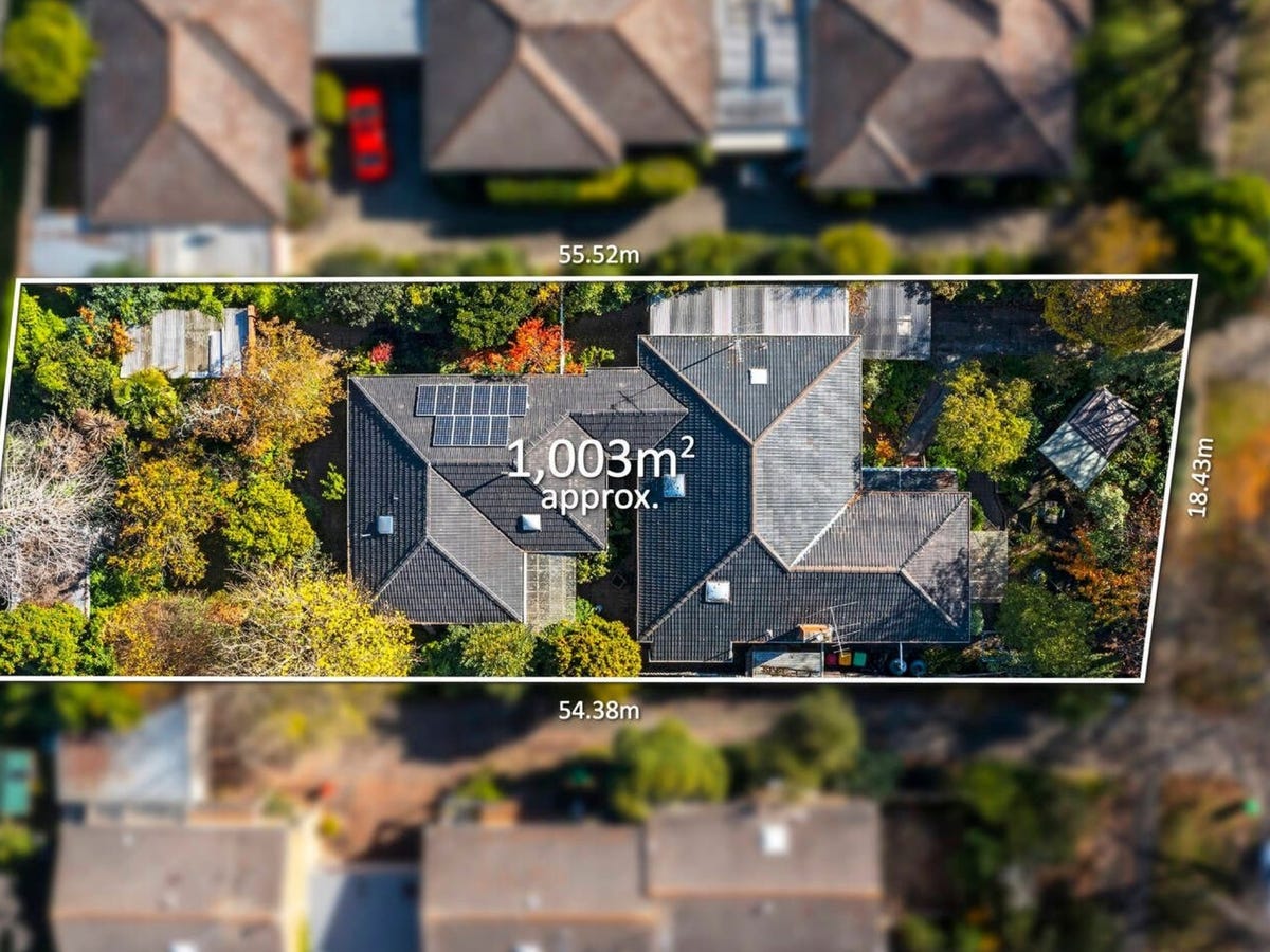 53 Park Road SURREY HILLS