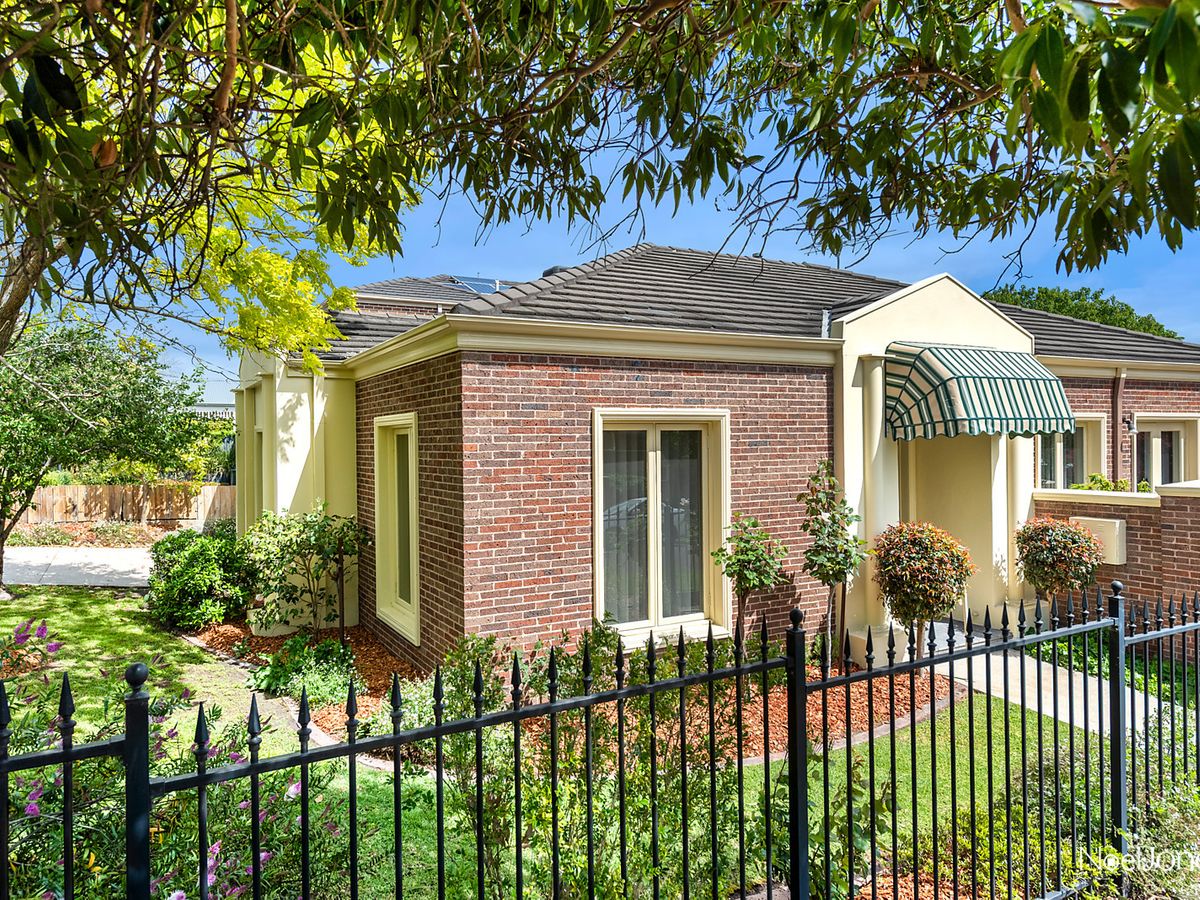 6 Como Avenue SURREY HILLS