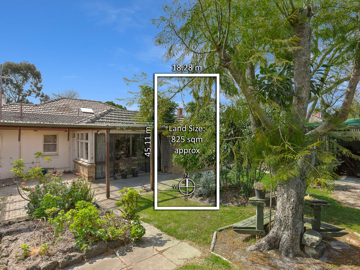 6 Ratho Avenue BRIGHTON EAST